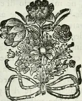 An illustration from L'architetto prattico : in cui con facilta si danno le regole per apprendere l'architettura civile (1726)