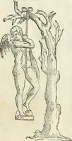 An illustration from L'architettura (1565)