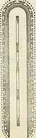 An illustration from L'architettura (1565)