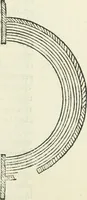 An illustration from L'architettura (1565)