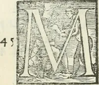 An illustration from L'architettura (1565)