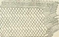 An illustration from L'architettura (1565)