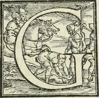 An illustration from L'architettura (1565)