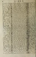 An illustration from L'architettura di Andrea Palladio diuisa in quattro libri : ne' quali, dopò vn breue trattato de' cinque ordini, et di quelli auertimenti, c[he] sono più necessarij nel fabricare : si tratta delle case priuate, delle vie, dei ponti, delle piazze, dei xisti, et de tempij (1642)