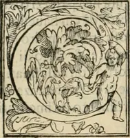An illustration from L'architettvra (1567)