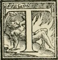 An illustration from L'architettvra (1567)