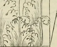An illustration from L'architettvra (1567)