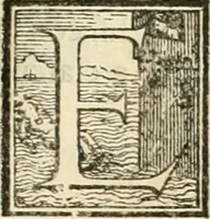 An illustration from L'architettvra (1567)
