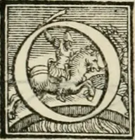 An illustration from L'architettvra (1567)