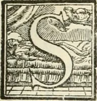Picture 154 of 203 from L'architettvra (1567), leaf 172