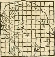 An illustration from L'architettvra (1567)