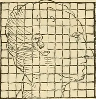 An illustration from L'architettvra (1567)
