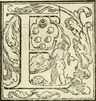 Picture 174 of 203 from L'architettvra (1567), leaf 182