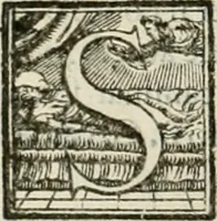 An illustration from L'architettvra (1567)