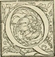 An illustration from L'architettvra (1567)