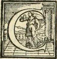 Picture 201 of 203 from L'architettvra (1567), leaf 208