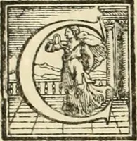 Picture 202 of 203 from L'architettvra (1567), leaf 210