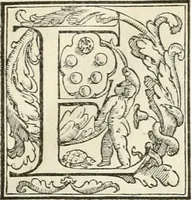 An illustration from L'architettvra (1567)
