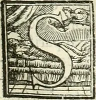 An illustration from L'architettvra (1567)