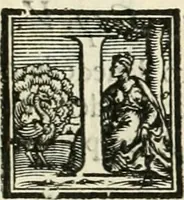 An illustration from L'architettvra (1567)