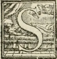 An illustration from L'architettvra (1567)