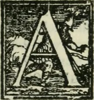 An illustration from L'architettvra (1565)