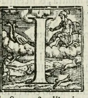 An illustration from La reale entrata del serenissimo dvca di Parma et Piacenza, &c. in Ferrara (1598)