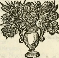 An illustration from La reale maesta, cioé, Racconto di quanto fece la regia città di Pauia nel compire e riceuere la Sereniss. D. Maria Anna, figliuola di Ferdinando terzo, imperadore sempre augusto, e sposa del grande monarca ibero Filippo quarto, di là in passando per andarsene in Ispagna (1650)
