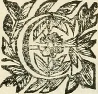 An illustration from La reale maesta, cioé, Racconto di quanto fece la regia città di Pauia nel compire e riceuere la Sereniss. D. Maria Anna, figliuola di Ferdinando terzo, imperadore sempre augusto, e sposa del grande monarca ibero Filippo quarto, di là in passando per andarsene in Ispagna (1650)
