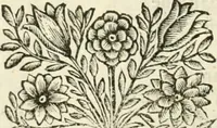 An illustration from La reale maesta, cioé, Racconto di quanto fece la regia città di Pauia nel compire e riceuere la Sereniss. D. Maria Anna, figliuola di Ferdinando terzo, imperadore sempre augusto, e sposa del grande monarca ibero Filippo quarto, di là in passando per andarsene in Ispagna (1650)