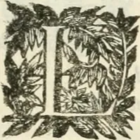 An illustration from La reale maesta, cioé, Racconto di quanto fece la regia città di Pauia nel compire e riceuere la Sereniss. D. Maria Anna, figliuola di Ferdinando terzo, imperadore sempre augusto, e sposa del grande monarca ibero Filippo quarto, di là in passando per andarsene in Ispagna (1650)