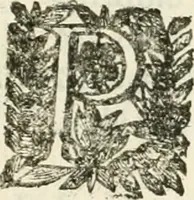 An illustration from La reale maesta, cioé, Racconto di quanto fece la regia città di Pauia nel compire e riceuere la Sereniss. D. Maria Anna, figliuola di Ferdinando terzo, imperadore sempre augusto, e sposa del grande monarca ibero Filippo quarto, di là in passando per andarsene in Ispagna (1650)