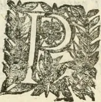 An illustration from La reale maesta, cioé, Racconto di quanto fece la regia città di Pauia nel compire e riceuere la Sereniss. D. Maria Anna, figliuola di Ferdinando terzo, imperadore sempre augusto, e sposa del grande monarca ibero Filippo quarto, di là in passando per andarsene in Ispagna (1650)