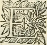 An illustration from La reale maesta, cioé, Racconto di quanto fece la regia città di Pauia nel compire e riceuere la Sereniss. D. Maria Anna, figliuola di Ferdinando terzo, imperadore sempre augusto, e sposa del grande monarca ibero Filippo quarto, di là in passando per andarsene in Ispagna (1650)