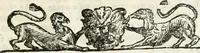 An illustration from La reale maesta, cioé, Racconto di quanto fece la regia città di Pauia nel compire e riceuere la Sereniss. D. Maria Anna, figliuola di Ferdinando terzo, imperadore sempre augusto, e sposa del grande monarca ibero Filippo quarto, di là in passando per andarsene in Ispagna (1650)