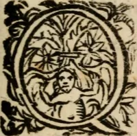 An illustration from La regina sant' Orsola, del sig. Andrea Saluadori : rappresetata nel teatro del sereniss. gran duca di Toscana al serenissimo principe Vladislao Sigismondo, principe di Polonia e di Suezia ; et, I fiori del Caluario, del medesimo (1625)