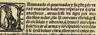 An illustration from La relacion y comentarios del gouernador Aluar Nuñez Cabeça de Vaca, de lo acaescido en las dos jornadas que hizo a las Indias (1555)