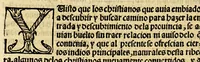 An illustration from La relacion y comentarios del gouernador Aluar Nuñez Cabeça de Vaca, de lo acaescido en las dos jornadas que hizo a las Indias (1555)