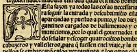 An illustration from La relacion y comentarios del gouernador Aluar Nuñez Cabeça de Vaca, de lo acaescido en las dos jornadas que hizo a las Indias (1555)