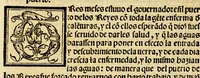 An illustration from La relacion y comentarios del gouernador Aluar Nuñez Cabeça de Vaca, de lo acaescido en las dos jornadas que hizo a las Indias (1555)