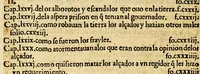 An illustration from La relacion y comentarios del gouernador Aluar Nuñez Cabeça de Vaca, de lo acaescido en las dos jornadas que hizo a las Indias (1555)