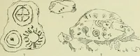 An illustration from La religion des Gaulois; les Druides et la druidisme; (1897)