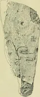 An illustration from La religion des Gaulois; les Druides et la druidisme; (1897)