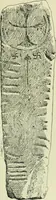An illustration from La religion des Gaulois; les Druides et la druidisme; (1897)