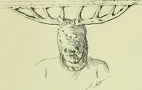 Picture 69 of 96 from La religion des Gaulois; les Druides et la druidisme; (1897), leaf 379