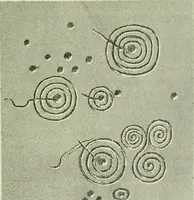 An illustration from La religion des Gaulois; les Druides et la druidisme; (1897)