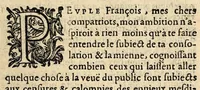 An illustration from La resolvtion et triomphe de la paix, faicte entre le Roy et nosseignevrs les princes. (1616)