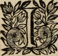 Picture 50 of 90 from La Rhétorique d'Aristote (1691), leaf 289