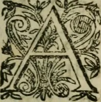 An illustration from L'arithmetiqve. Augm. de nouueau de plusieurs belles regles subtiles & briefues, traictant de diuers trafficqs de marchandises, à chacun d'iceux les regles qui y sont necessaires, outre la reduction des monnoyes, aulnages, & poids. Regles du fin or, d'argent, & alliages de metaux ... Auec plusieurs belles demandes vtiles & necessaires à l'vsage commun. Enrichie d'vne instruction & maniere de trouuer le compte faict du toisage de Lyon (1630)