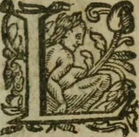 An illustration from L'arithmetiqve. Augm. de nouueau de plusieurs belles regles subtiles & briefues, traictant de diuers trafficqs de marchandises, à chacun d'iceux les regles qui y sont necessaires, outre la reduction des monnoyes, aulnages, & poids. Regles du fin or, d'argent, & alliages de metaux ... Auec plusieurs belles demandes vtiles & necessaires à l'vsage commun. Enrichie d'vne instruction & maniere de trouuer le compte faict du toisage de Lyon (1630)